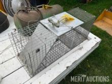 Live animal trap