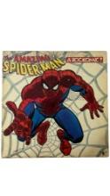 The Amazing Spider-Man 1972 Original Rockomic
