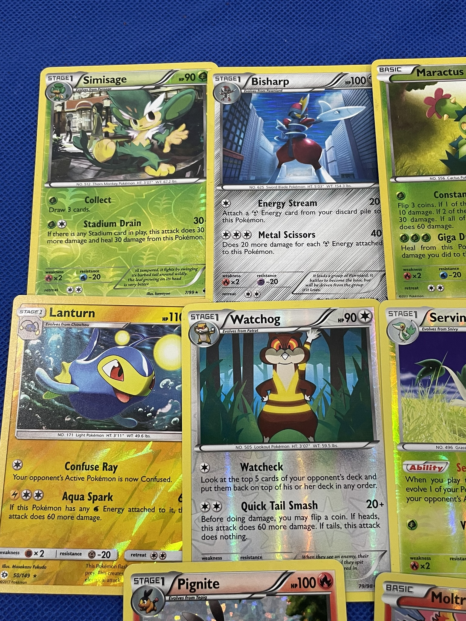 PokŽmon cards with holos