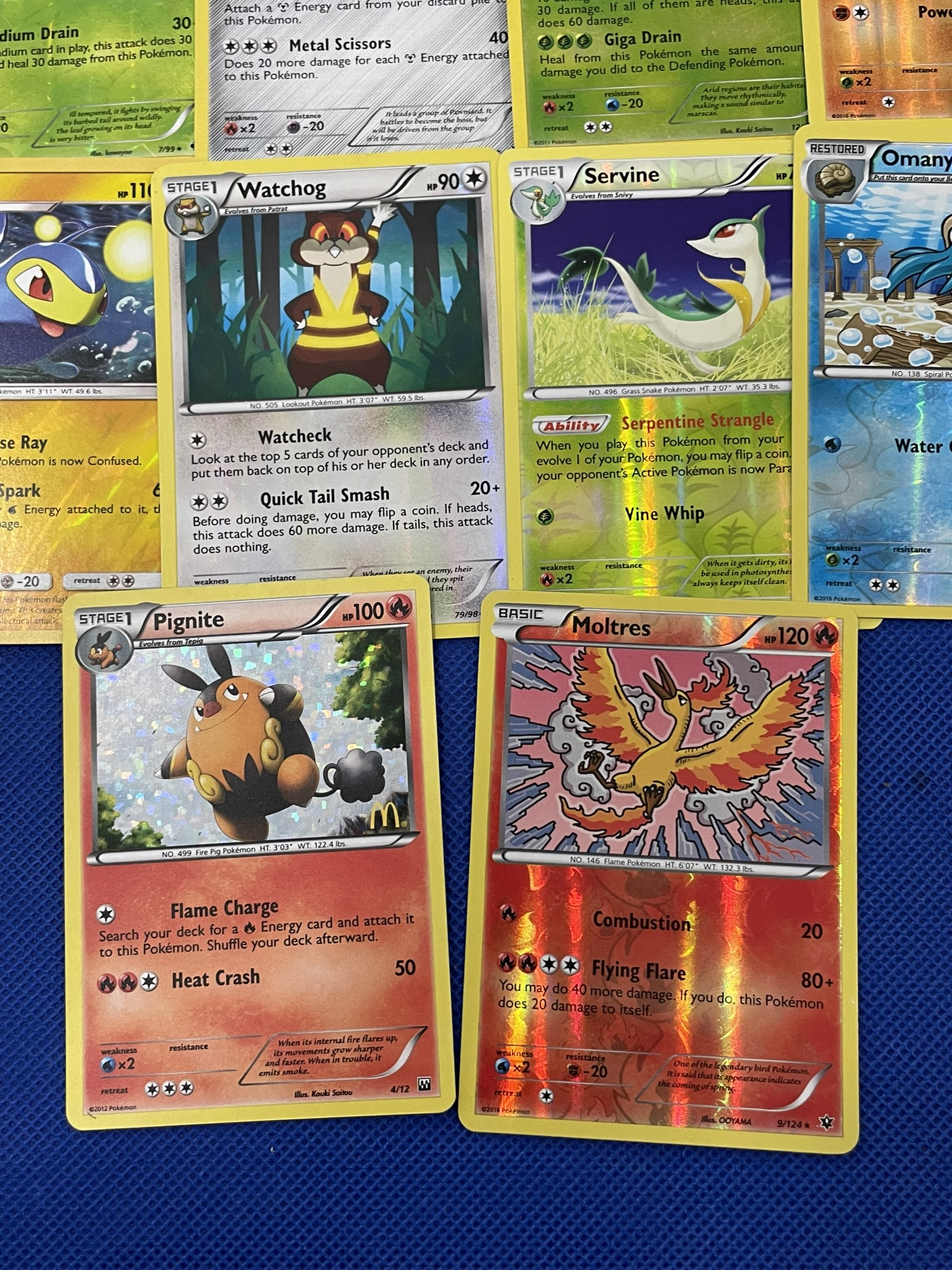 PokŽmon cards with holos