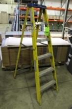 Werner 6' Ladder Model FS106