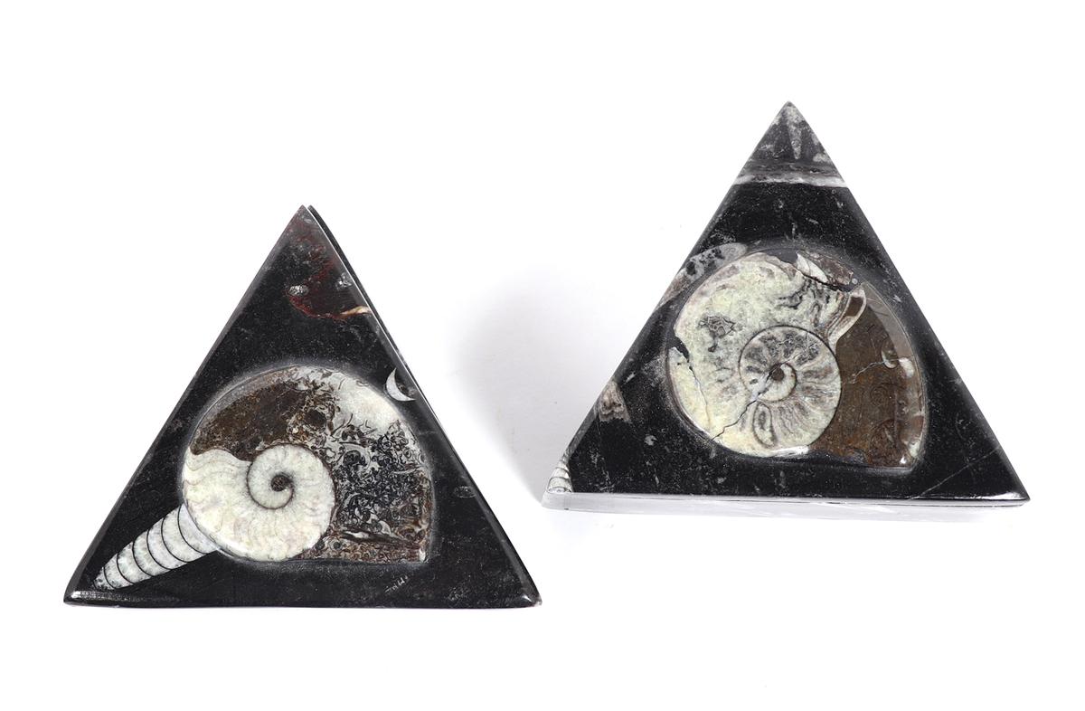 Pair of Fossilized Ammonite Jewelry Boxes