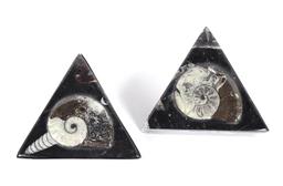 Pair of Fossilized Ammonite Jewelry Boxes