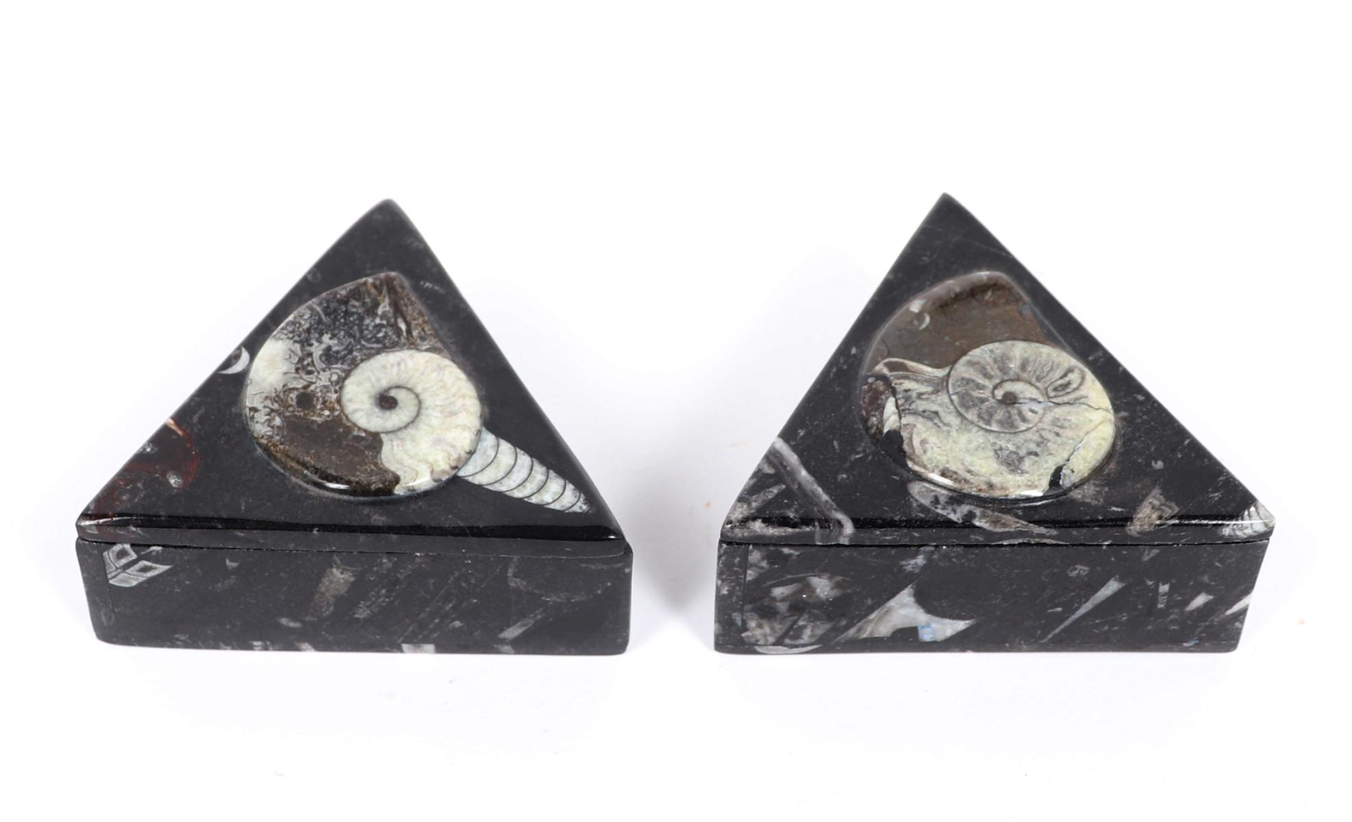 Pair of Fossilized Ammonite Jewelry Boxes