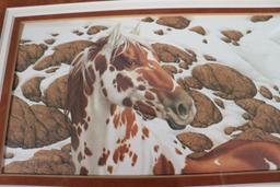 Bev Doolittle Framed Prints