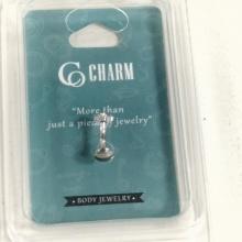 Titanium body jewelry charm