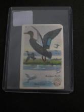 1931 ARM HAMMER BLACK DUCK TOBACCO CARD