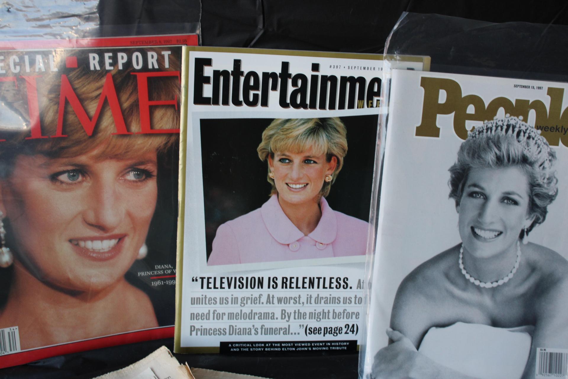 Princess Diana Lot