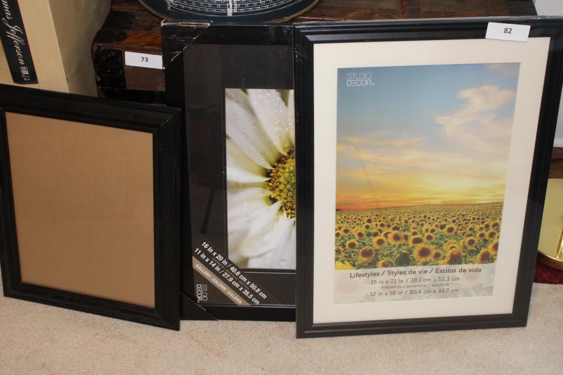 Picture Frame Lot