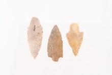 A Group of 3 Adena Stemmed Points.