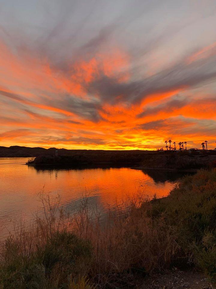 DID YOU KNOW?! JOHNNYS AUCTION AT LAKE HAVASU!