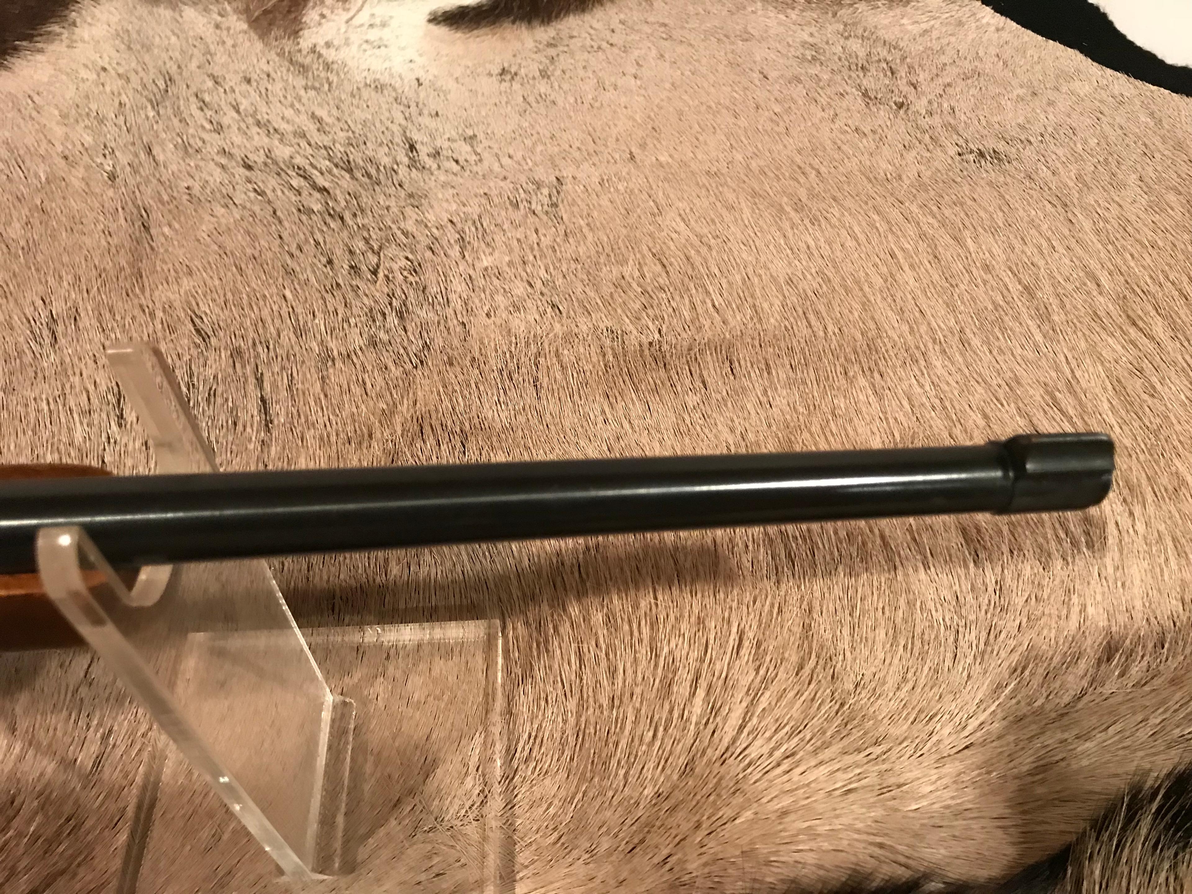 Ruger 10/22 Auto Carbine .22 LR Rifle