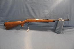 Daisy Heddon .22 cal VL rifle