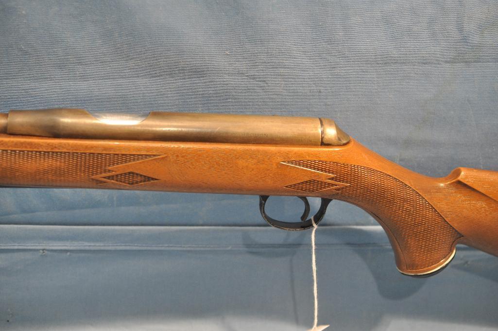 Daisy Heddon .22 cal VL rifle