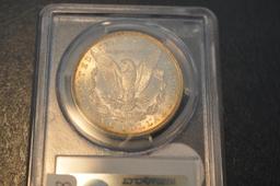 1884-O PCGS MS 64 MORGAN SILVER DOLLAR