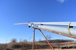 Hutchinson 8"x30' load out auger, elec. drive