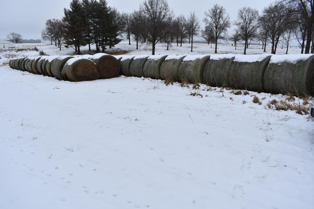 (25) 2019 first cutting grass round bales