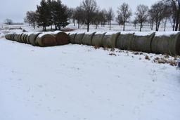 (25) 2019 first cutting grass round bales