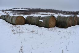 (10) 2019 first cutting grass round bales