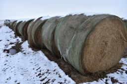 (20) 2019 first cutting grass round bales