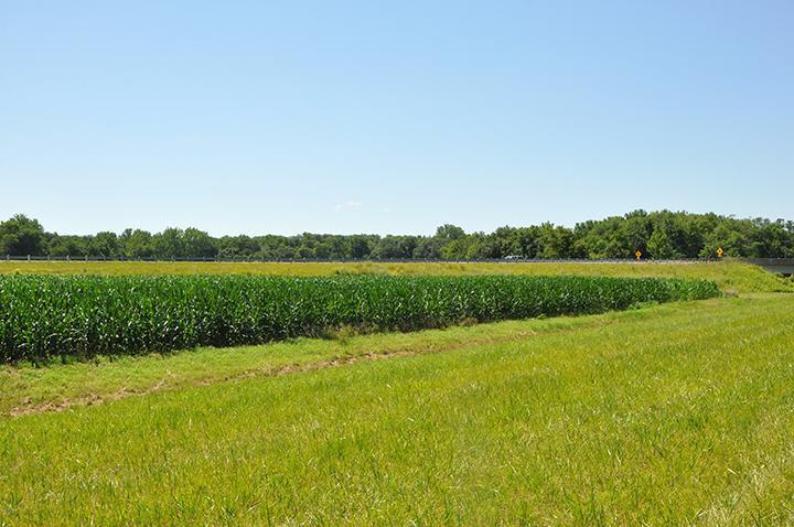 Tract 1 - 78.58 Acres +/-