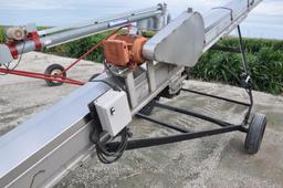 Layco stainless 30' belt conveyor