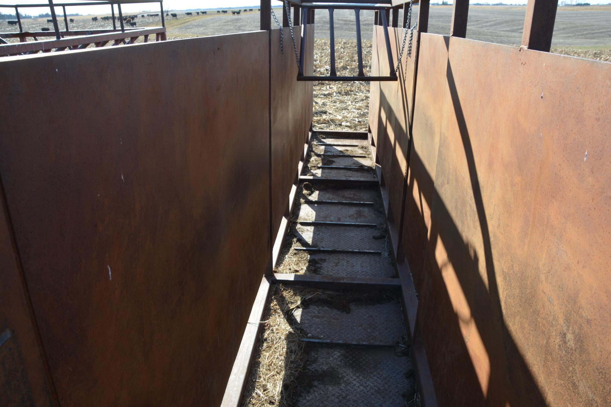20' Custom made cattle working alley way