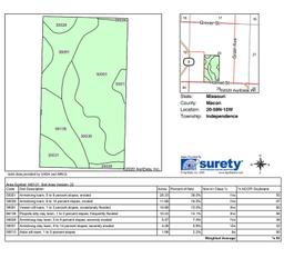 Tract 3 - 73.3 Surveyed Acres