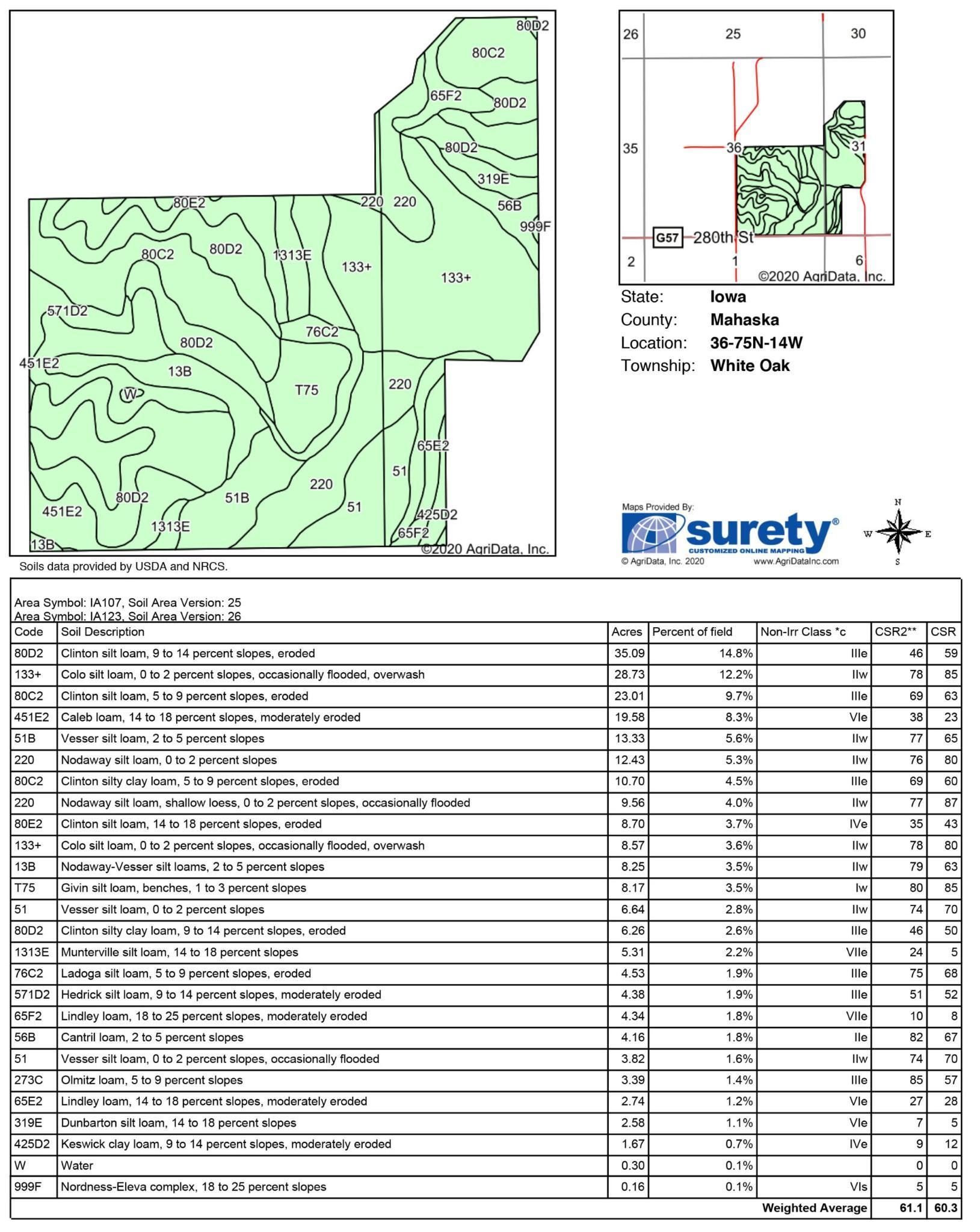 Tract 7 - 242.84 Surveyed Acres+/-