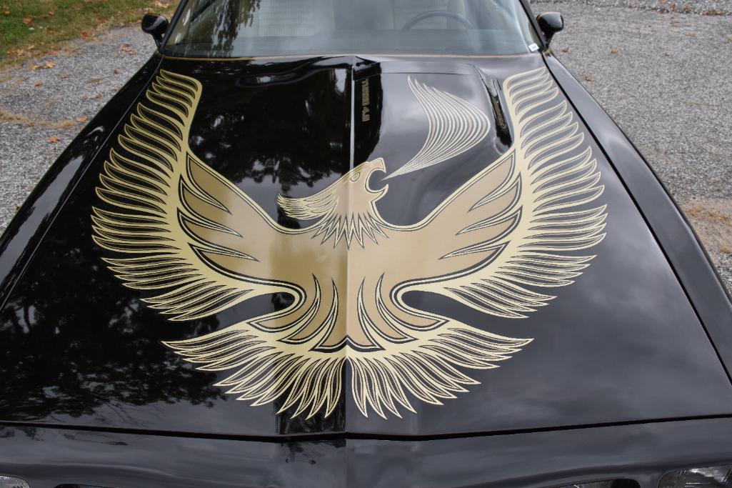 1981 Pontiac Trans Am