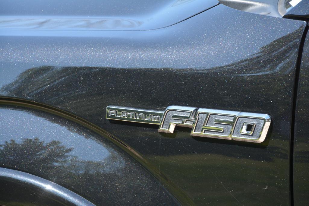 2013 Ford F-150 Platinum truck
