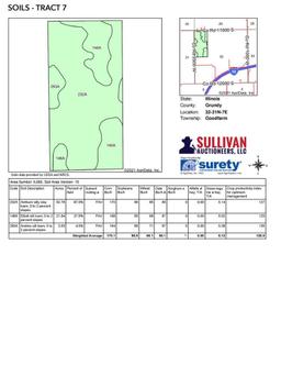 Tract 7 - 81.38 Surveyed Acres