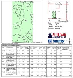 Tract 3 - 80 Acres+/- (Subject to Survey)