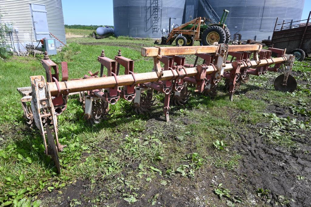 Lilliston 3-pt. 6 row 30" cultivator