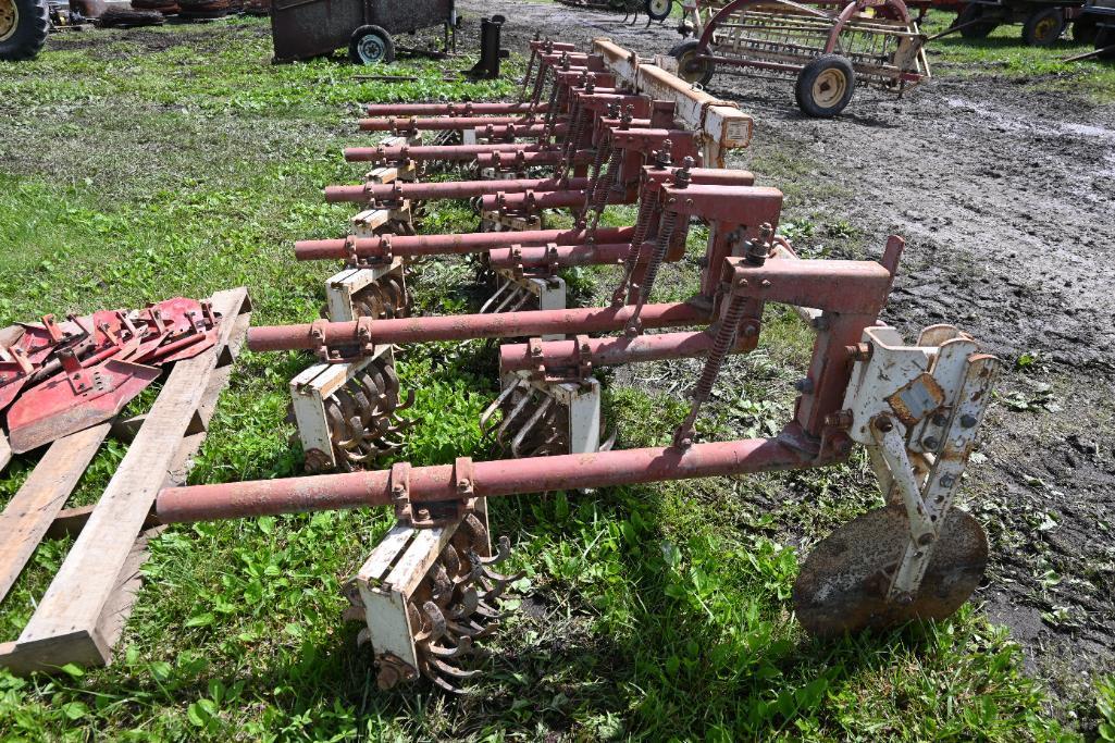 Lilliston 3-pt. 6 row 30" cultivator