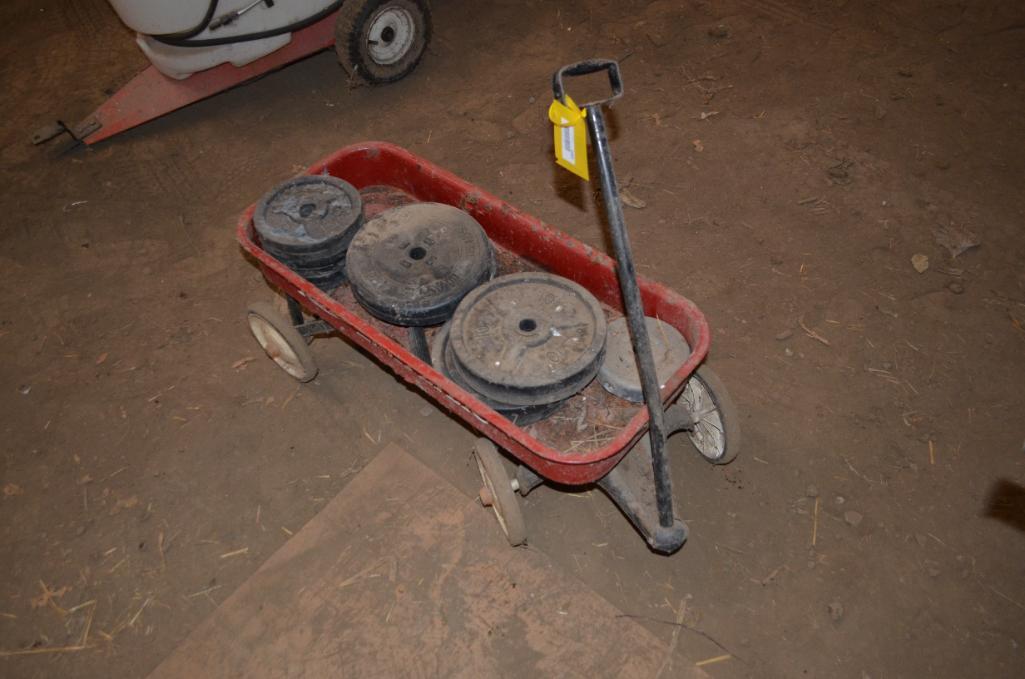 Radio Flyer child's wagon with weights