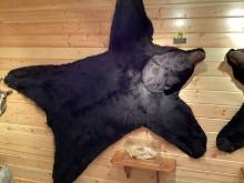 Black Bear Hide