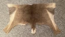 Deer Hide