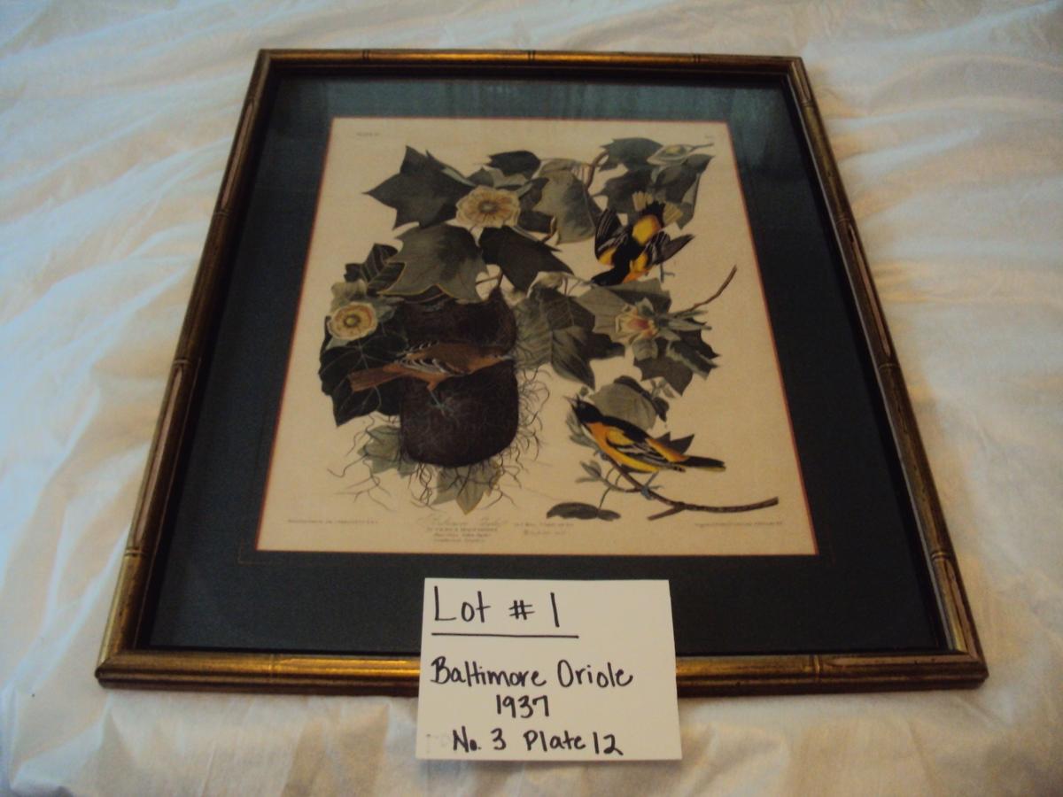 BALTIMORE ORIOLE, 1937, NO.3 PLATE 12 WITH GOLD FRAME & GLASS