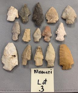 Lot of 15 arrowheads
