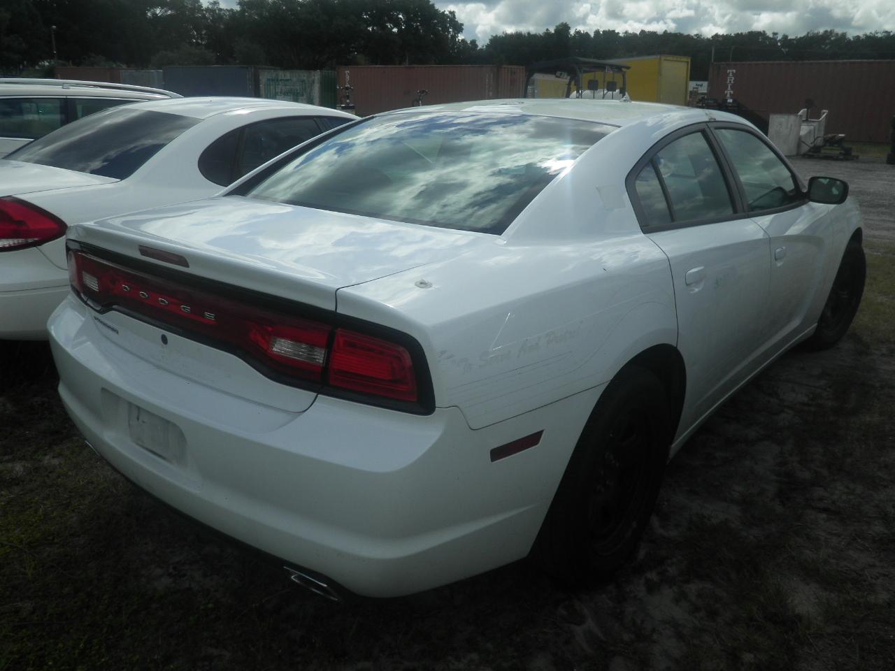 10-05139 (Cars-Sedan 4D)  Seller: Gov/Hillsborough County Sheriff-s 2012 DODG CHARGER