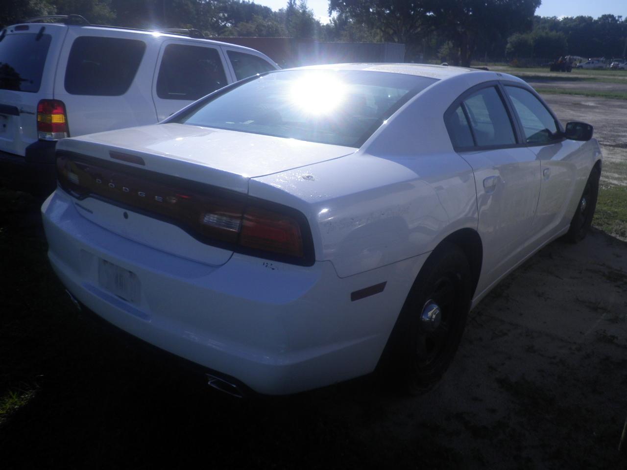 11-05124 (Cars-Sedan 4D)  Seller: Gov/Hillsborough County Sheriff-s 2013 DODG CHARGER