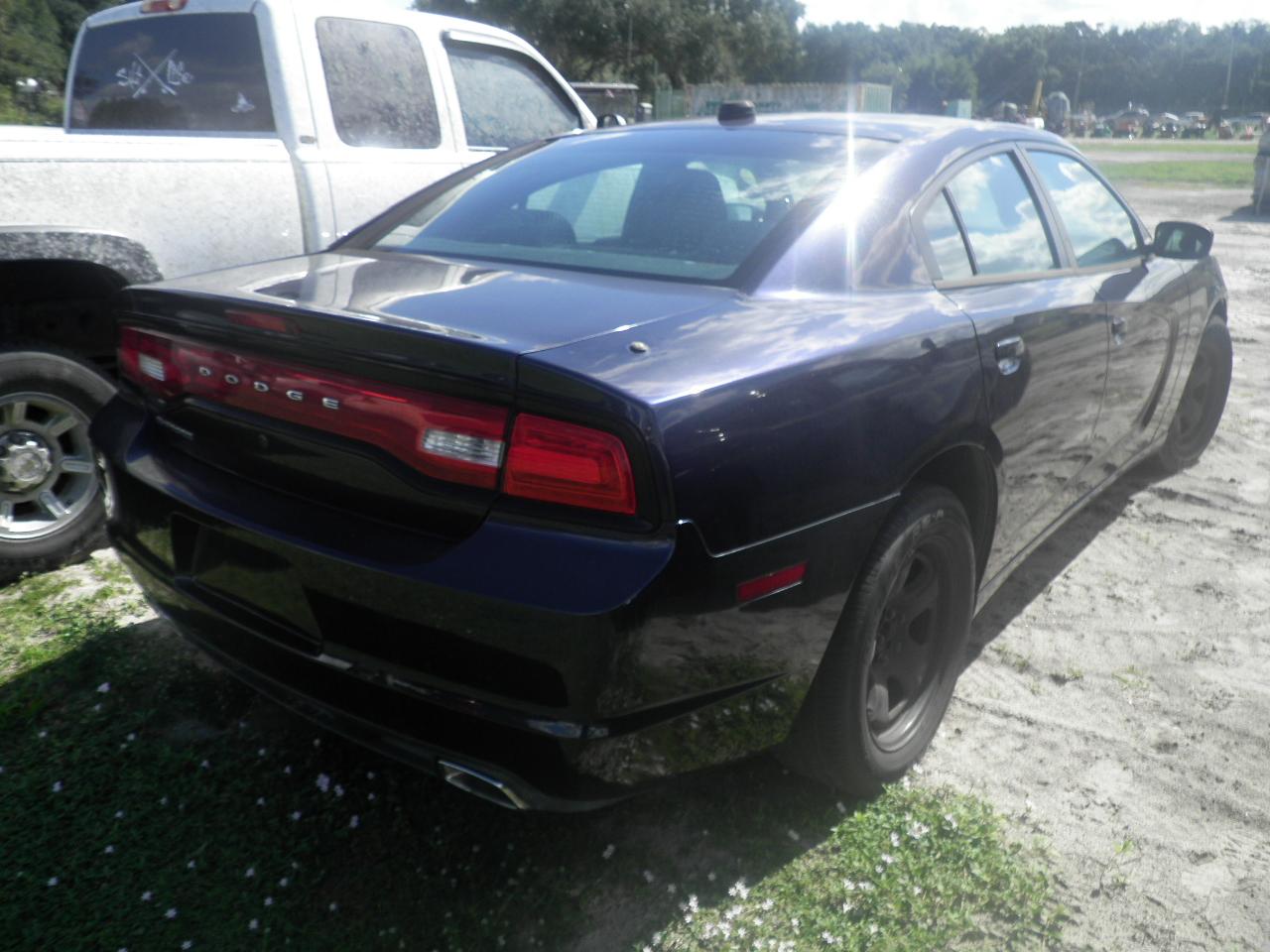 11-05130 (Cars-Sedan 4D)  Seller: Gov/Hillsborough County Sheriff-s 2012 DODG CHARGER