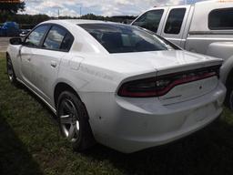 10-05111 (Cars-Sedan 4D)  Seller: Gov-Hillsborough County Sheriffs 2019 DODG CHA