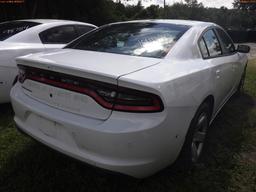 10-05111 (Cars-Sedan 4D)  Seller: Gov-Hillsborough County Sheriffs 2019 DODG CHA