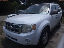 5-06167 (Cars-SUV 4D)  Seller: Gov-Hillsborough County B.O.C.C. 2011 FORD ESCAPE