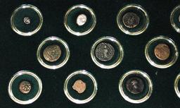 14 ANCIENT COINS in WOODEN DISPLAY BOX