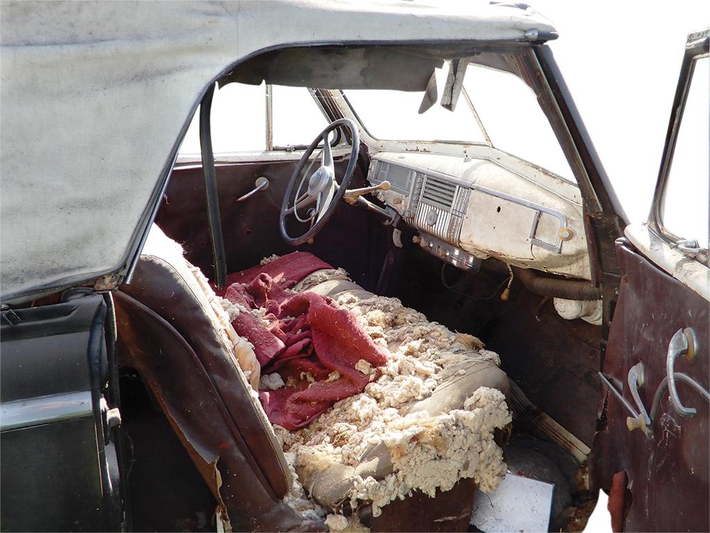 1948 Plymouth Convertible. This Plymouth convertible