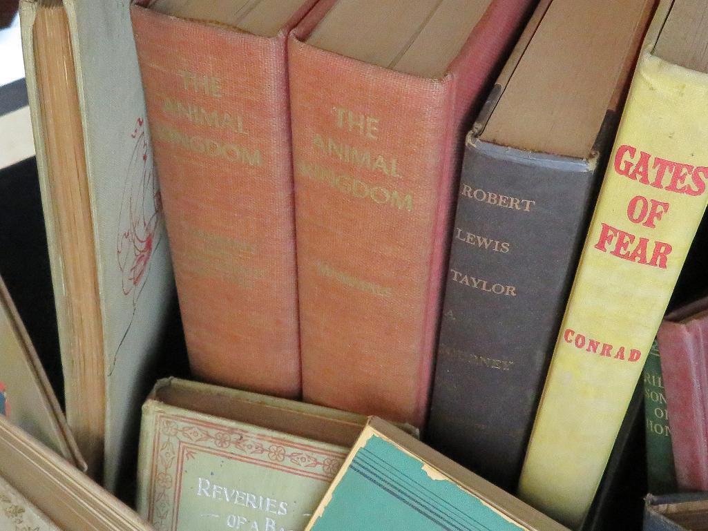 Box full of mostly antique first edition Books.