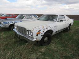 1976 Plymouth Road Runner 2DR HT